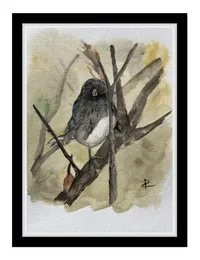 bird - water color